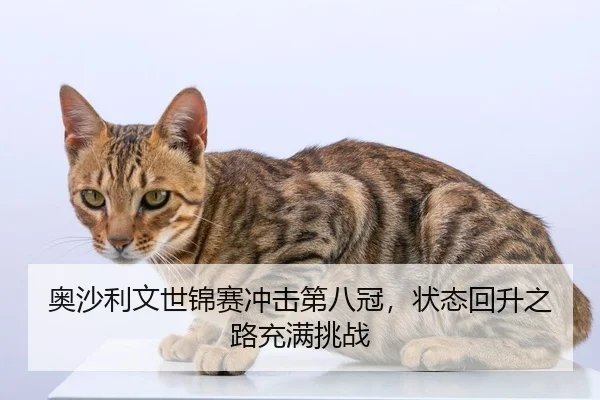 奥沙利文世锦赛冲击第八冠，状态回升之路充满挑战