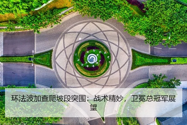 huan-fa-bo-jia-cha-pa-po-duan-tu-wei-zhan-shu-jing-miao-wei-mian-zong-guan-jun-zhan-wang-2-524.jpg