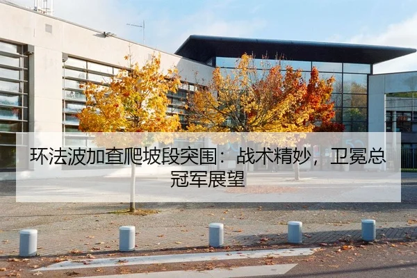 环法波加查爬坡段突围：战术精妙，卫冕总冠军展望