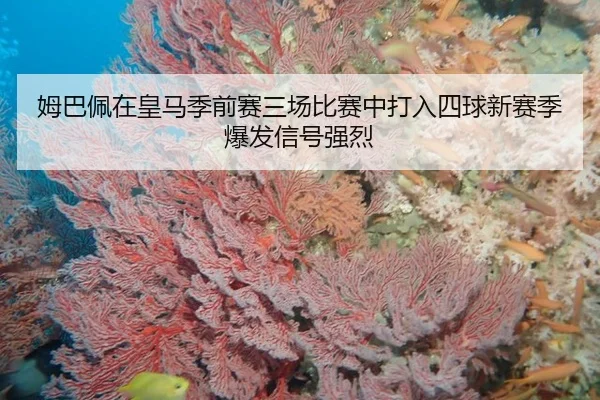 mu-ba-pei-zai-huang-ma-ji-qian-sai-san-chang-bi-sai-zhong-da-ru-si-qiu-xin-sai-ji-bao-fa-xin-hao-qiang-lie-3-728.jpg